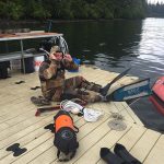 summer-2019-eagleswingsretreat-alaska1